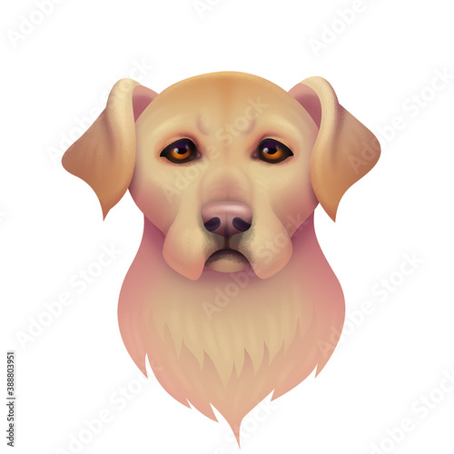 Raster illustration of cute cartoon golden labrador isolated on white background with clipping path photo