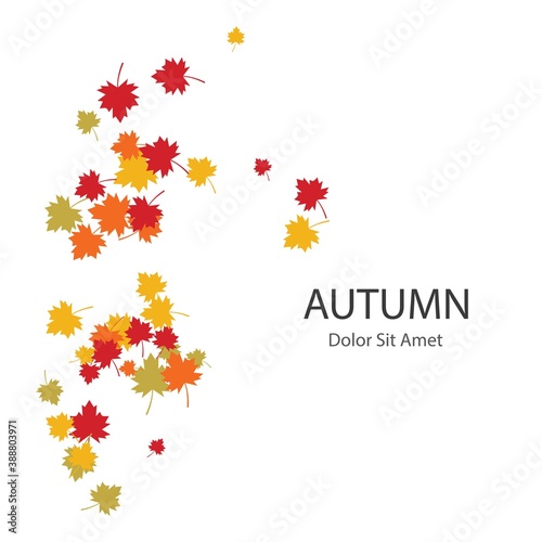 Autumn Leaf background