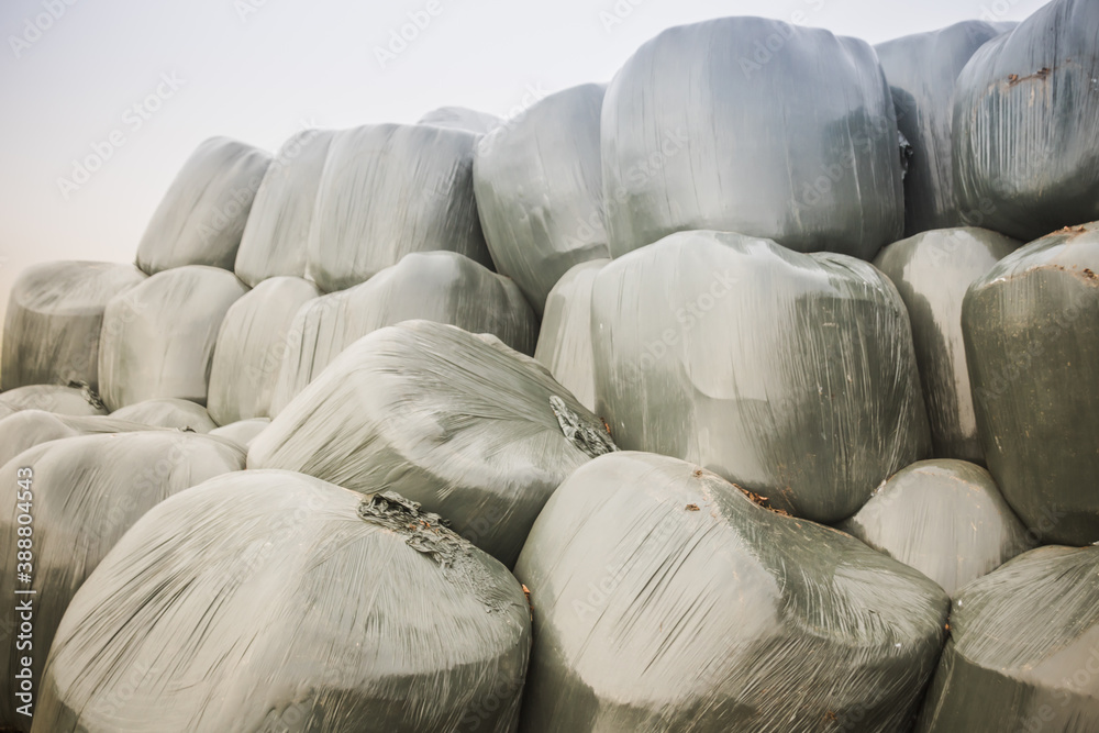 Fototapeta premium ballots de foin recouvert de plastique