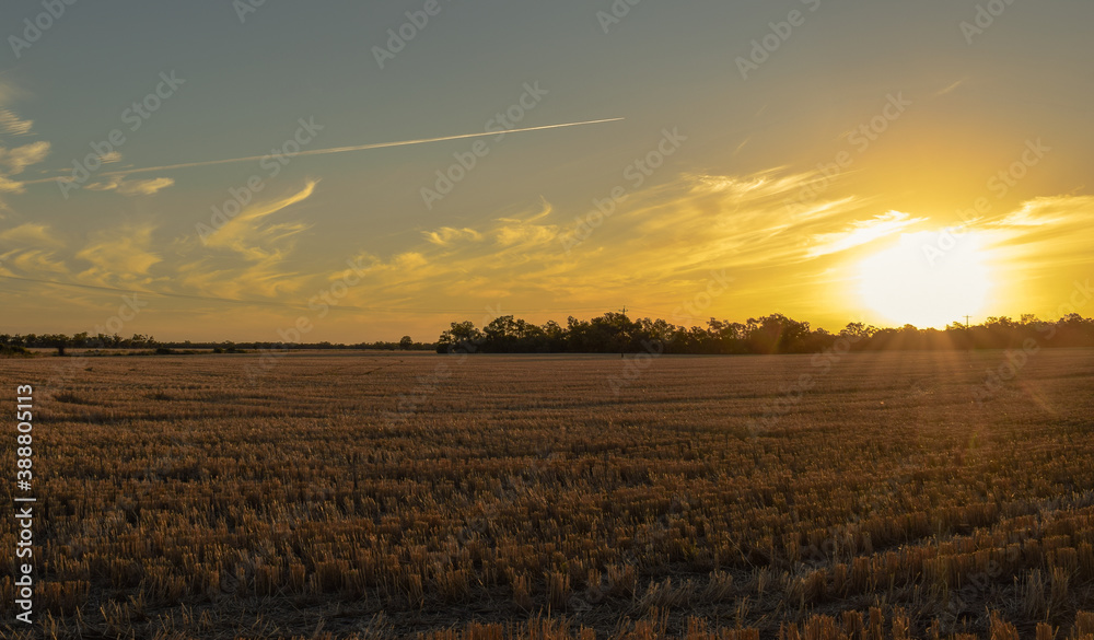 Panoramic sunset view from a farm in Australia 
