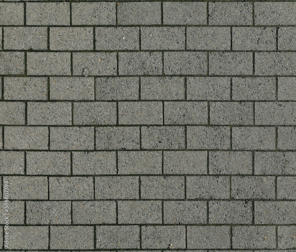 Obraz premium Paving stones covering (bitmap texture) 