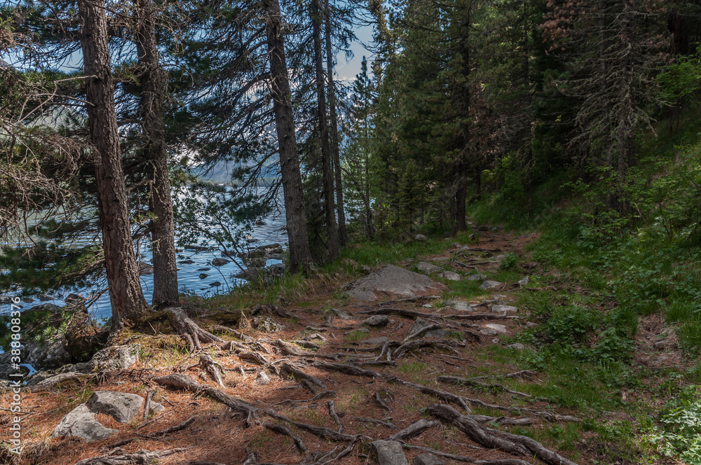 Obraz premium A highland lake in Altai mountains