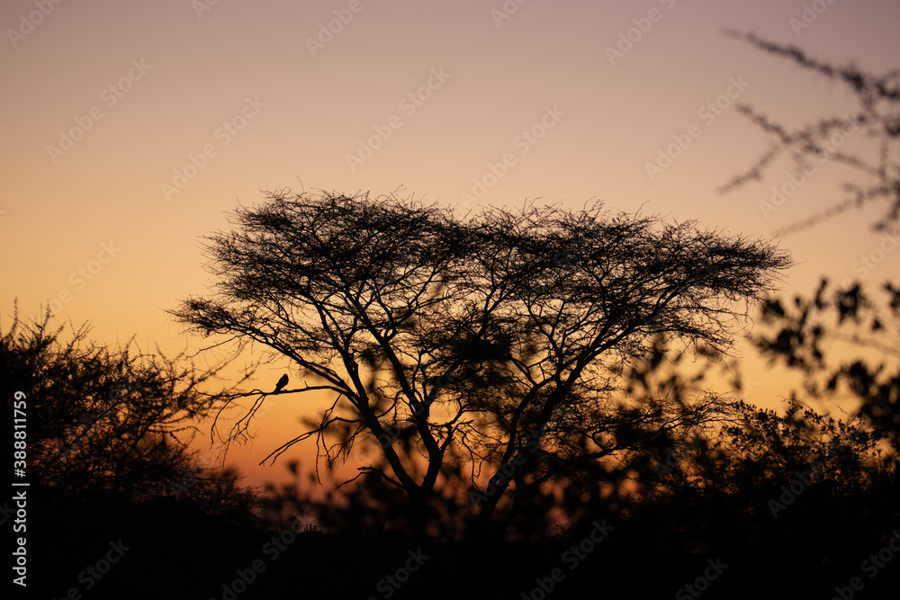 Sunset in Namibia, Africa Sunset in Namibia, Africa