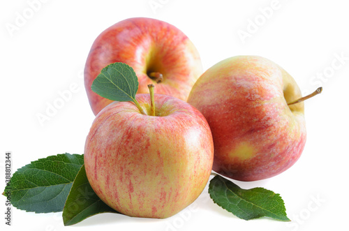 fruits of apples