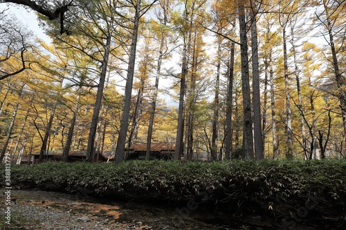 上高地の紅葉