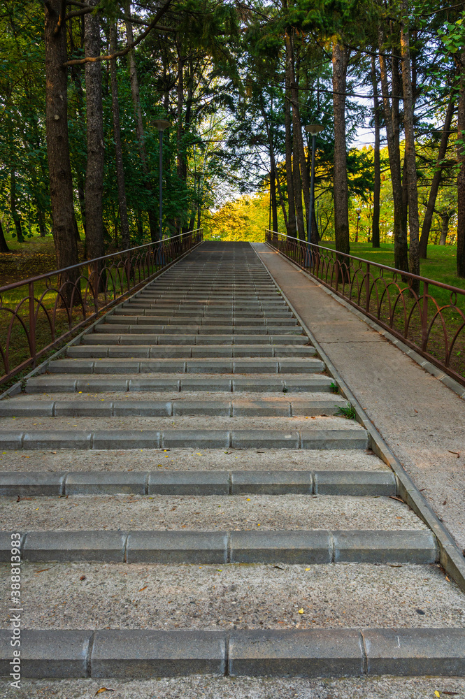 uphill walkway in autumn park