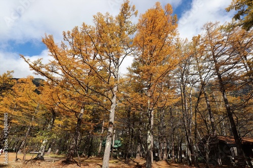 上高地の紅葉