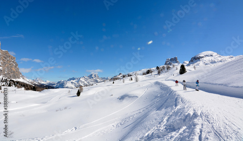skiers on the snowy slopes