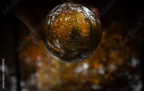 Autumn forest through lensball