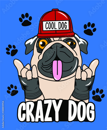 RAPPER DOG