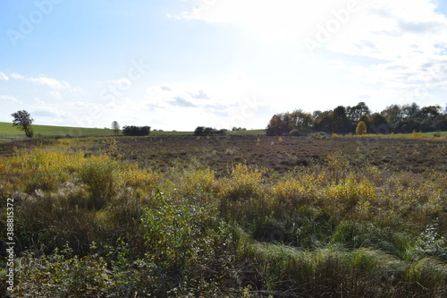 herbstlich buntes Sumpfmaar Strohner Märchen photo