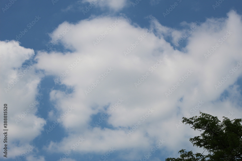 blue sky with clouds