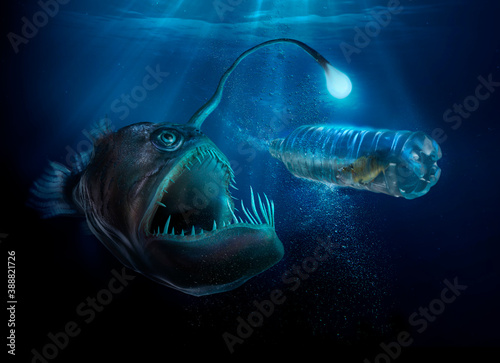 Scary deep sea fish with light examining fish in plastic water bottle photo