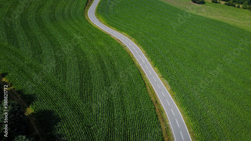 Road between agriculture fields