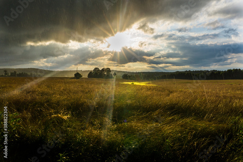 sunset over the field