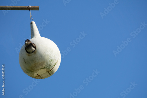 bird house