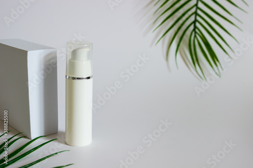 white rectangular box with shadows on a light white background. White plastic cream jar. For cosmetics or cosmetology background. stand for advertising beauty products. leaf plant fern