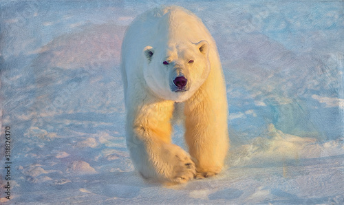 Oil painting of large male polar bear