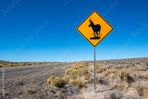A pronghorn antelope crossing road sign along Highway 140 in Sheldon National Wildlife Refuge, Washoe County, Nevada, USA photo