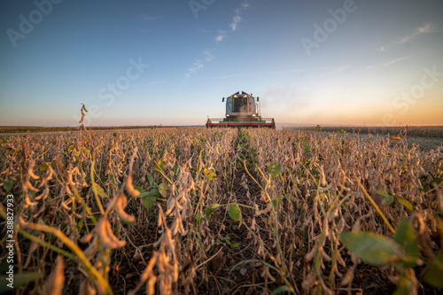 Harvesting of soybean