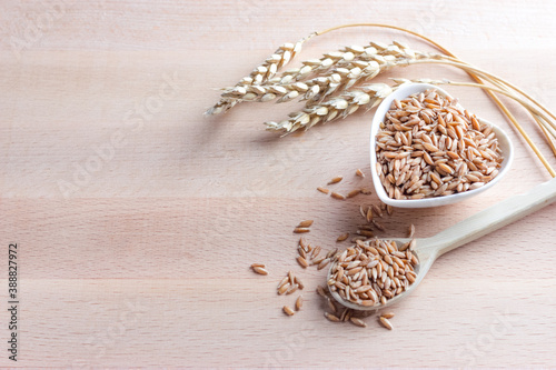 Uncooked organic whole spelt grain in a bowl with a wooden spoon and spelt ears on the Wooden background. Copy space.