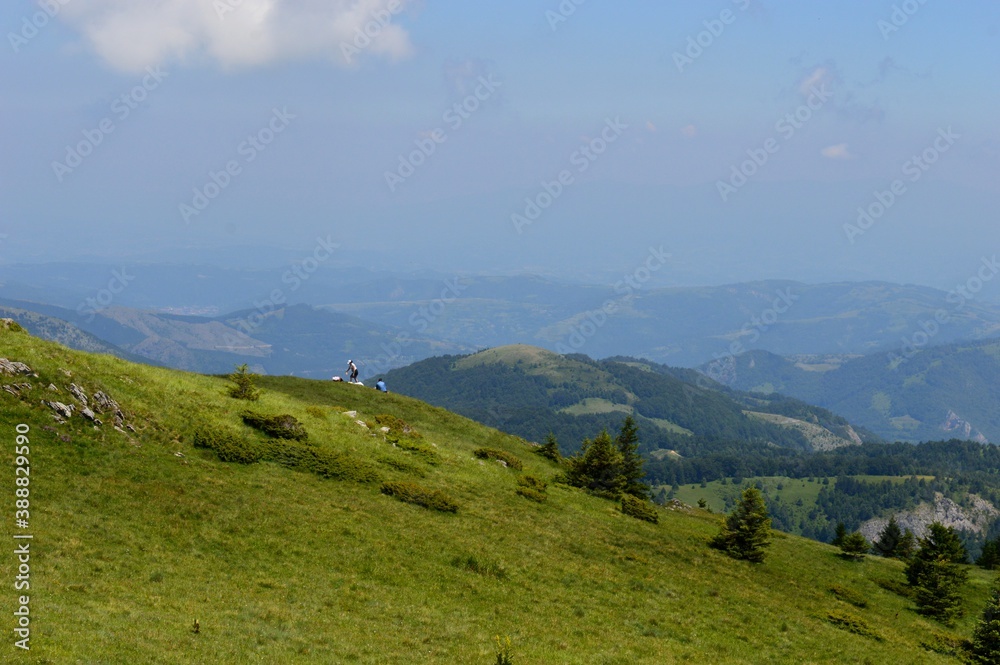 on vacation in the mountains