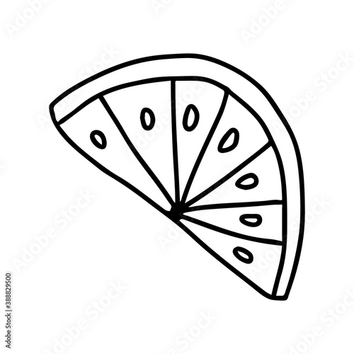 Vector outline black illustration of one slice fresh lemon isolated on a white background