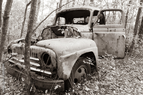Abandoned truck in forest, black and white
