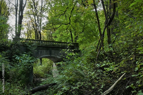 old bridge in the forest © Robert