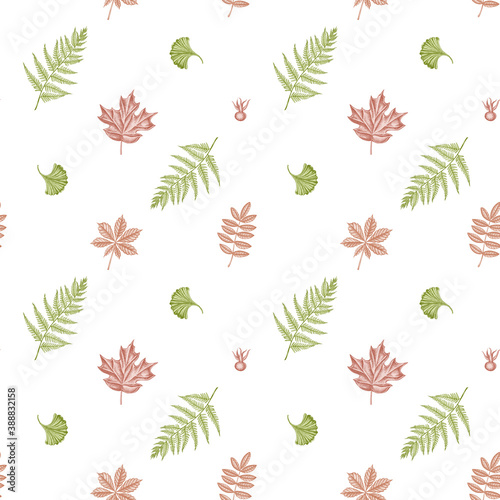 Seamless pattern with hand drawn pastel fern, dog rose, rowan, ginkgo, maple, horse chestnut