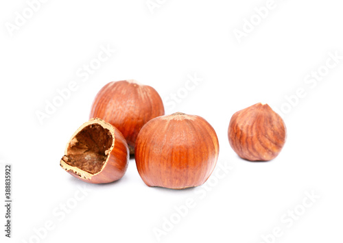 Group fresh hazelnuts isolated on white background