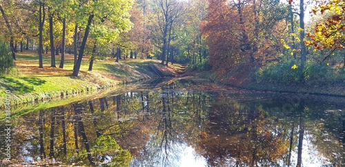 Jezioro w lesie w słoneczny jesienny dzień