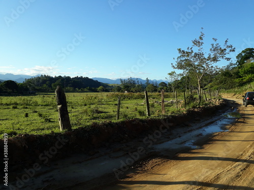 path in the vineyard