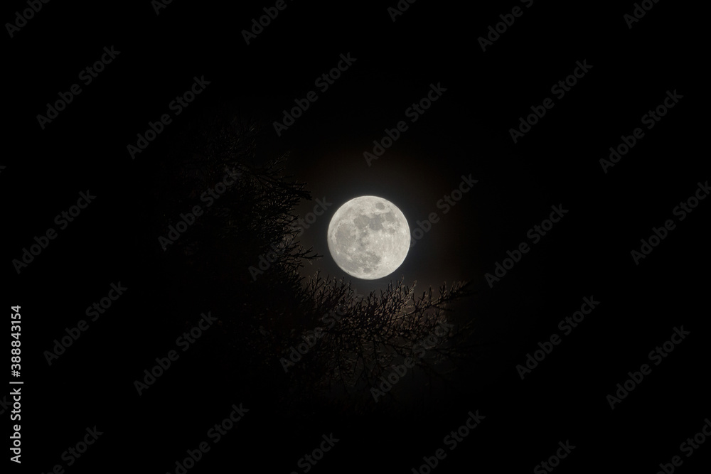 luna llena luna llena