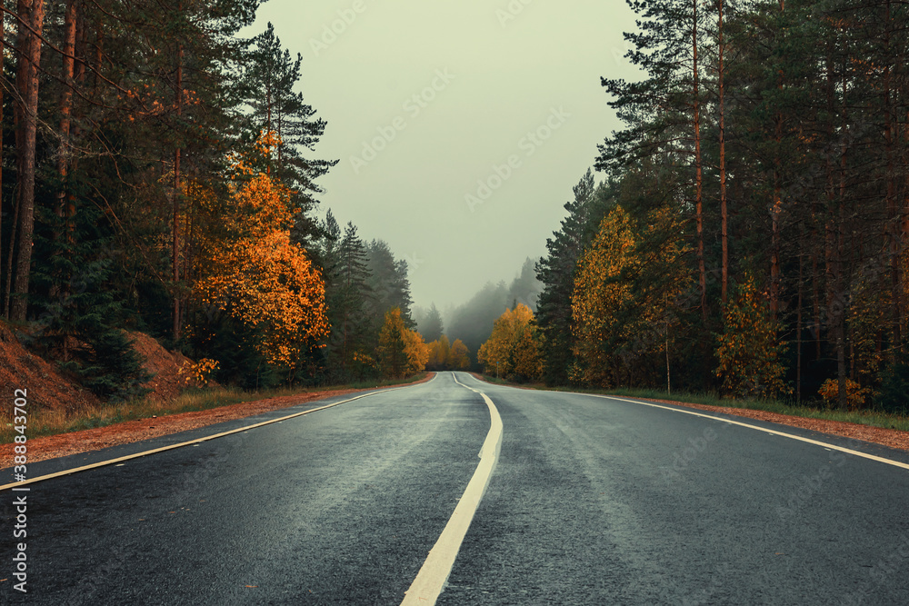 Naklejka premium Autumn and foggy road in Pskov region, Russia
