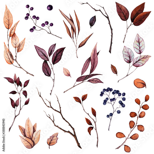 Set of Watercolor Autumn Leaves and Berries