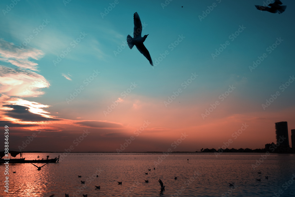 Silhouette of seagulls and a fisher boat on a blue and red sky on sunset.