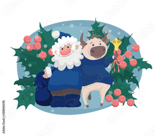 Cute vector illustration with santa and a little bull in blue sweater holding a bell,  holly leaves on a blue background