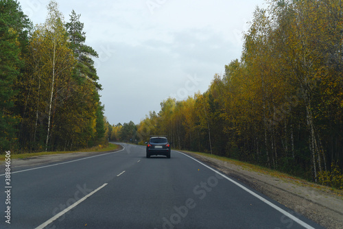 A car is driving along a road in the middle of a mixed forest. There's a sharp turn ahead. Cloudy, but beautiful!