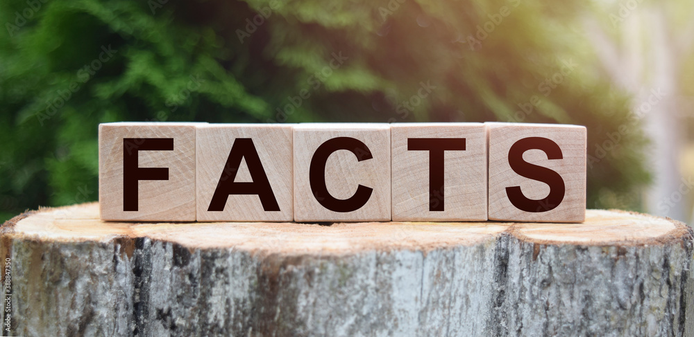 The word FACTS is written on wooden cubes. Wooden cubes on a green lawn background for your design, concepts. The word FACTS is written on wooden cubes. Wooden cubes on a green lawn background for your design, concepts.