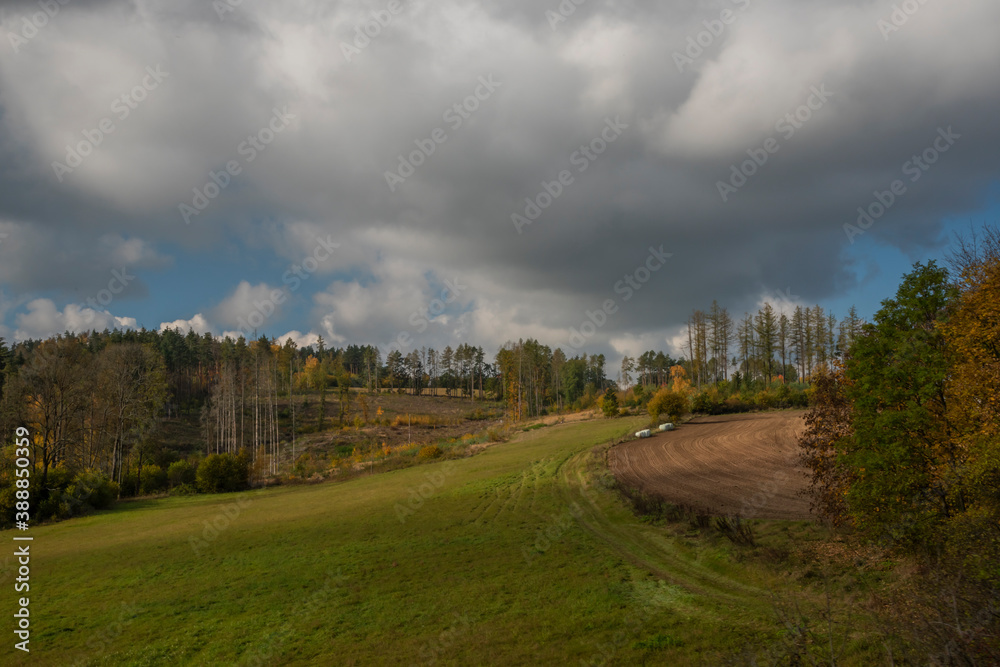 Meadow and forest near Horazdovice town in west south Bohemia