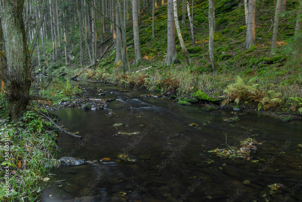 Utersky creek with color trees and meadow near Utery town in autumn evening Utersky creek with color trees and meadow near Utery town in autumn evening