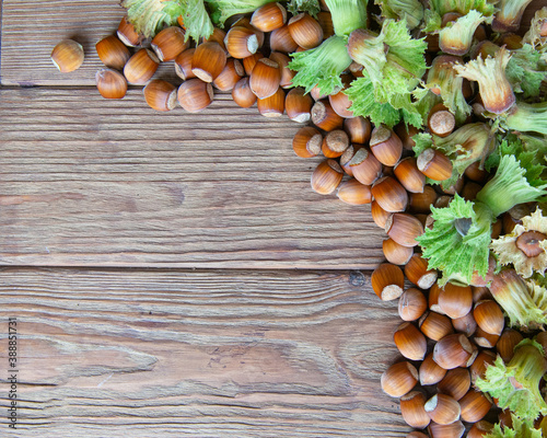 hazelnuts in shells on the wooden background