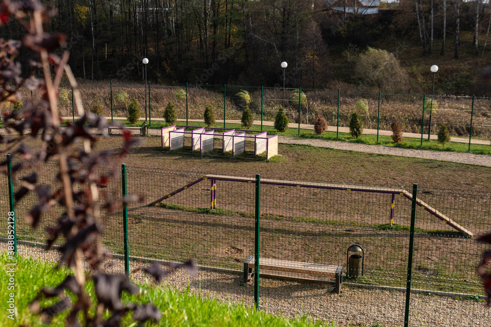 Dog playground in the park for walking against the backdrop of the forest of nature Dog playground in the park for walking against the backdrop of the forest of nature