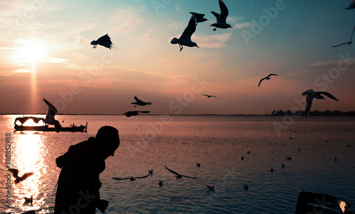 Silhouette seagulls above the sea and a man on the frame feeding the seagulls. photo