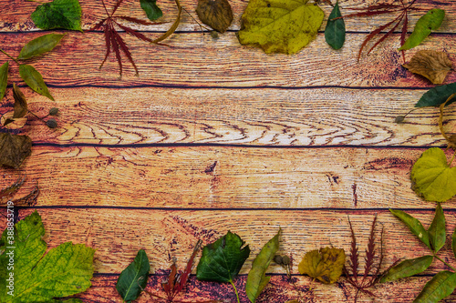 
autumn