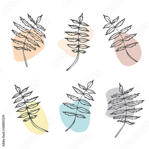 Set of ornamental leaves with color shapes. Hand drawn vector illustrations on white background.