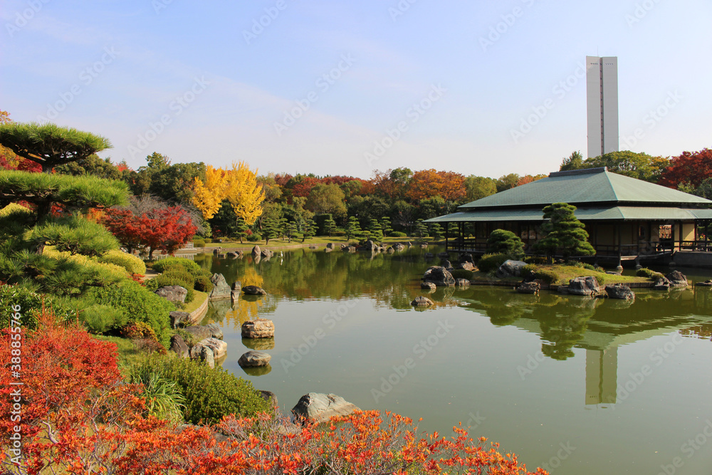 Fototapeta premium 大阪府堺市 大仙公園日本庭園の紅葉