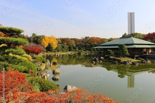 大阪府堺市　大仙公園日本庭園の紅葉 photo