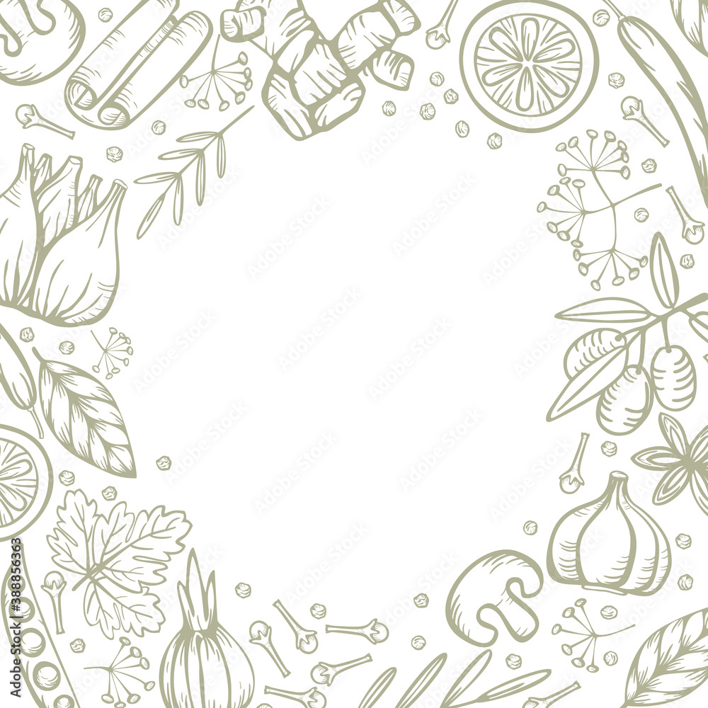 Spices herbs for delicious and healthy cooking. Vector round border on white background. Stylized hand drawing. Spices herbs for delicious and healthy cooking. Vector round border on white background. Stylized hand drawing.